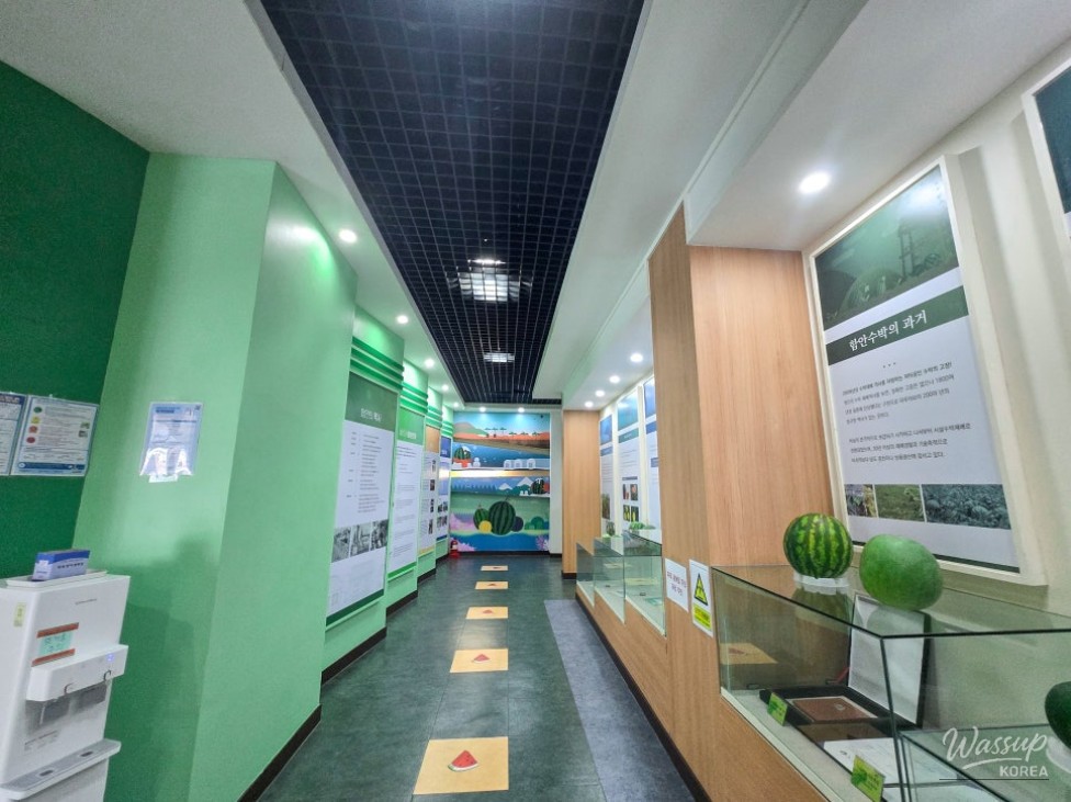 Exploring the Hamann Watermelon Exhibition Hall_08