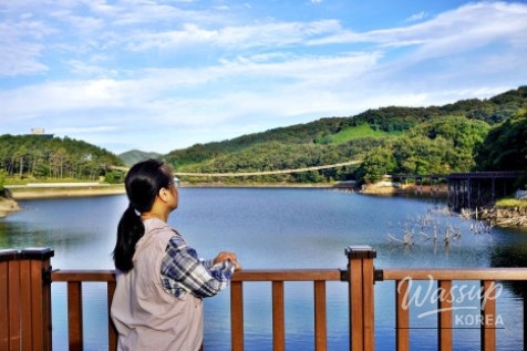 Autumn at Majang Lake: A Scenic Walk and Bridge Experience_02