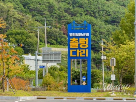 Exploring the Beautiful Yeongcheon Bohyeonsan Dam Suspension Bridge_02