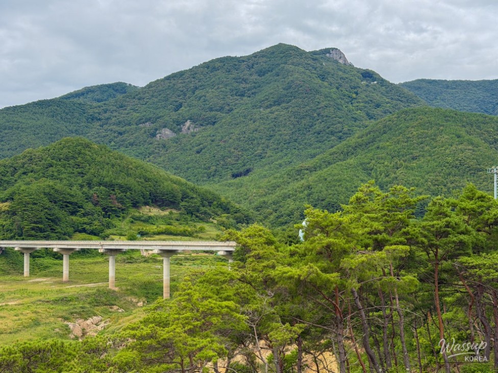 Exploring the Beautiful Yeongcheon Bohyeonsan Dam Suspension Bridge_14