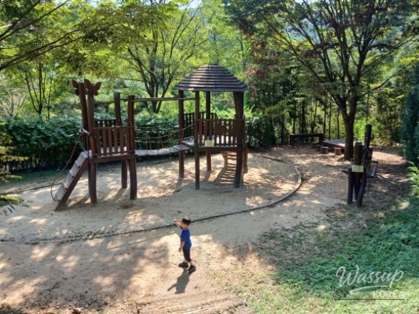 Exploring Nature at Yulgok Arboretum's Children's Forest Experience_02
