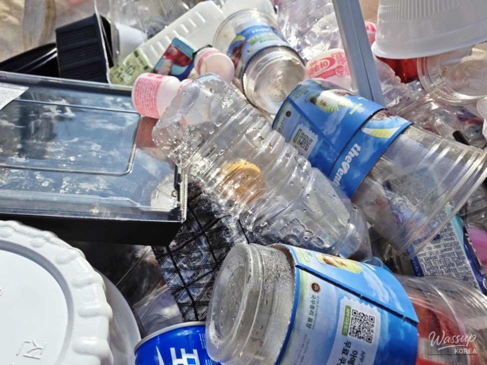 Recycling Transparent PET Bottles: A Simple Guide to Earning Points_08