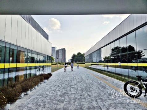 Discover Paju's Local Produce and Processed Foods_03
