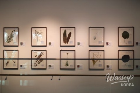 Explore the 'Green, Space' Exhibition at Magok Seoul Botanical Garden_05