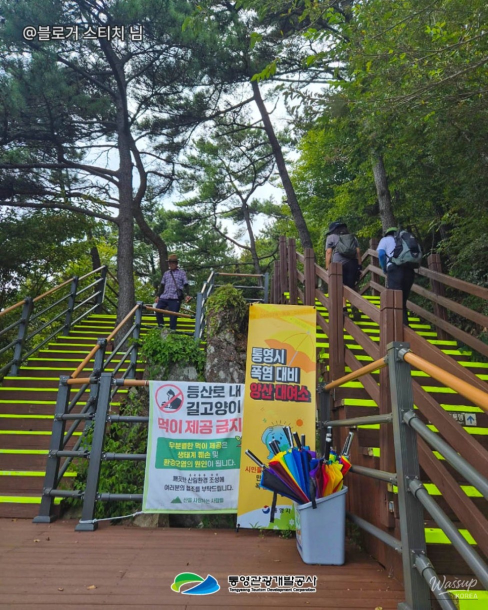 A Day of Adventure in Tongyeong: Cable Car and Night Heritage Tour_07