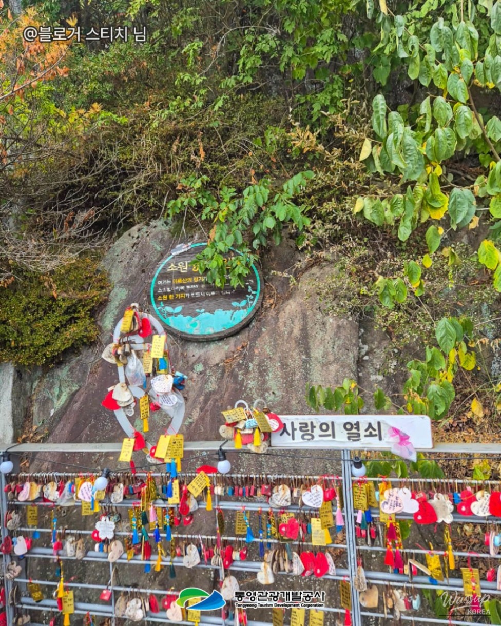 A Day of Adventure in Tongyeong: Cable Car and Night Heritage Tour_06