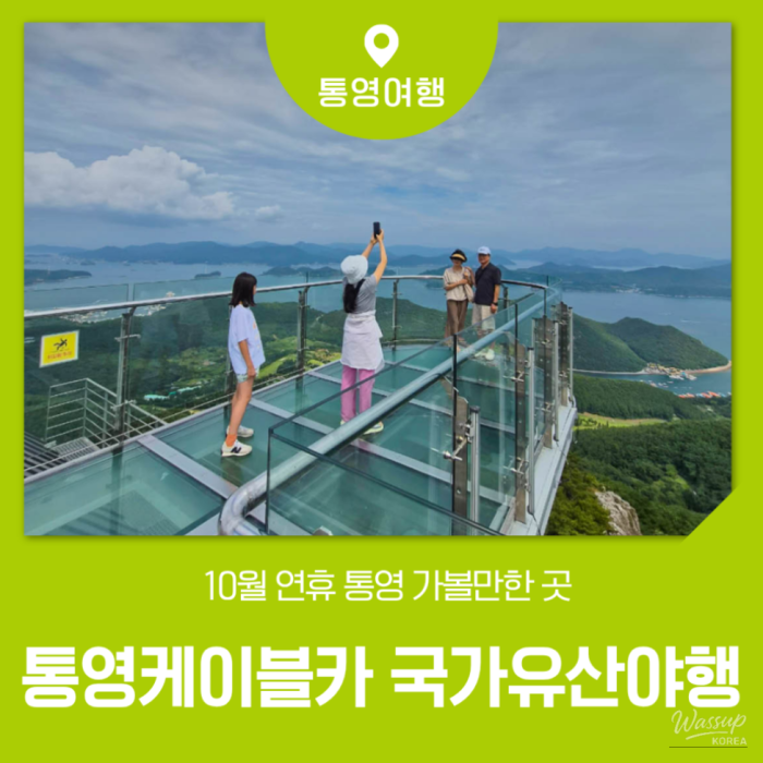 A Day of Adventure in Tongyeong: Cable Car and Night Heritage Tour