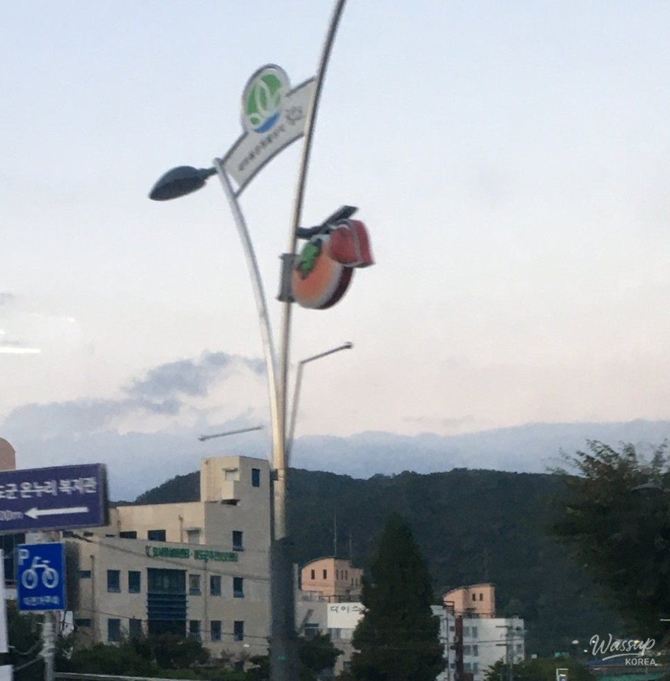 A Sweet Autumn Adventure in Cheongdo_02