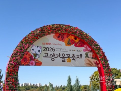 2026 Goyang Autumn Flower Festival: A Fall Outing to Ilsan Lake Park!_04