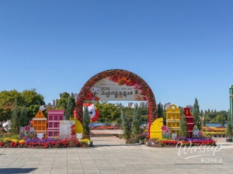 2026 Goyang Autumn Flower Festival: A Fall Outing to Ilsan Lake Park!_03