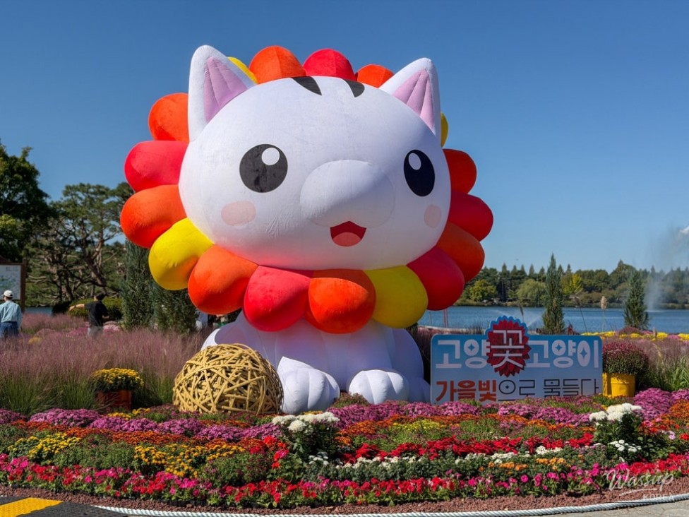 2026 Goyang Autumn Flower Festival: A Fall Outing to Ilsan Lake Park!_02