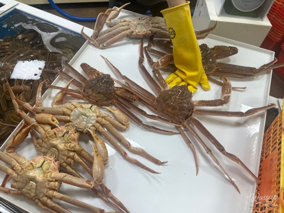 Exploring the Delicacies of Yeongdeok: The Famous Snow Crab_05