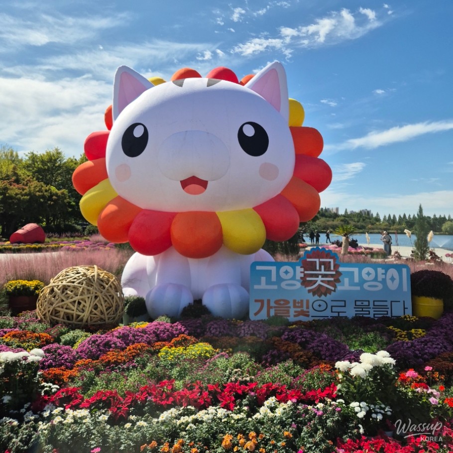 2026 Goyang Autumn Flower Festival: Highlights and Information_02