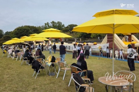 The 72nd Baekje Cultural Festival: A Journey Through Time_11