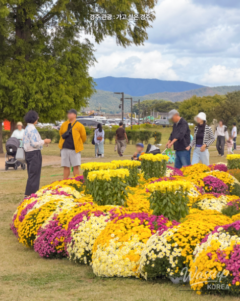 Discover the 2026 Golden Garden Festival in Gyeongju_05