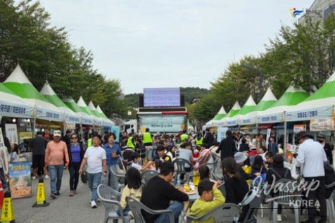 Exploring the 72nd Baekje Cultural Festival_15