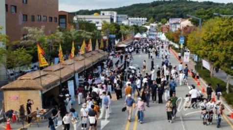 Experience the 72nd Baekje Cultural Festival!_13