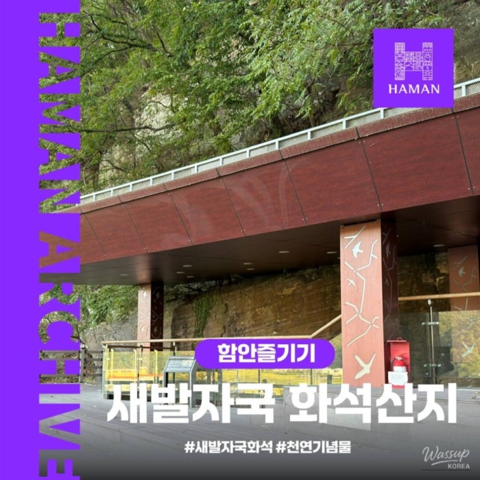 Exploring the Haman Yongsanri Fossil Site: A Glimpse into the Cretaceous Period