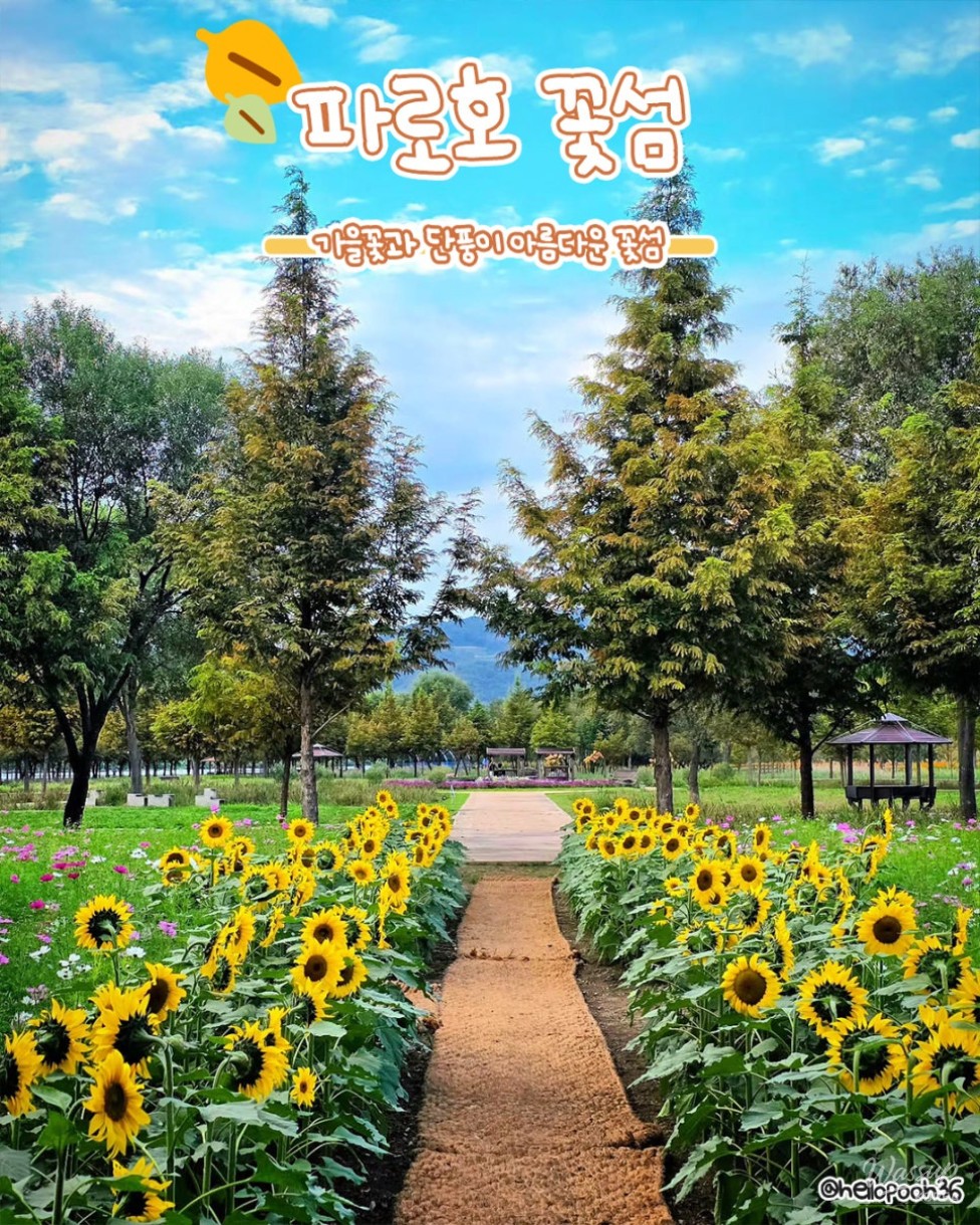 Perfect Autumn Travel Destinations in Yanggu_04