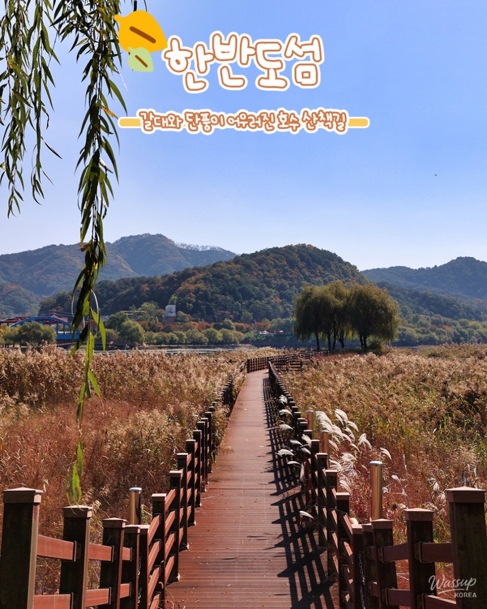 Perfect Autumn Travel Destinations in Yanggu_06