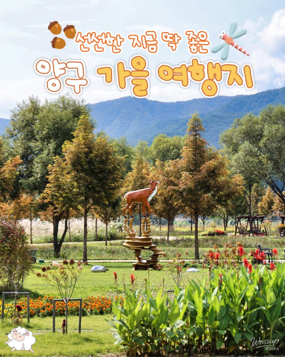 Perfect Autumn Travel Destinations in Yanggu_01
