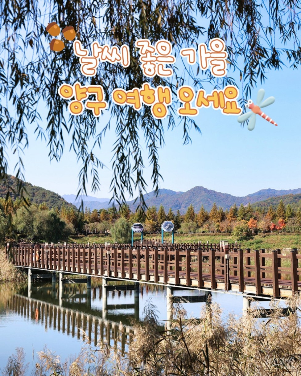 Perfect Autumn Travel Destinations in Yanggu_09