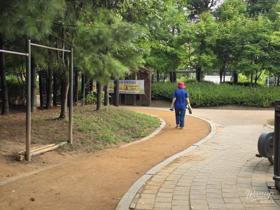 Exploring the Serenity of Gyerim Park's Earthen Path_04