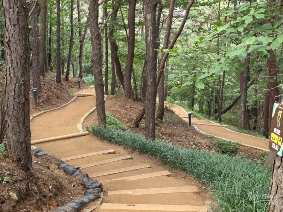Exploring the Serenity of Gyerim Park's Earthen Path_01