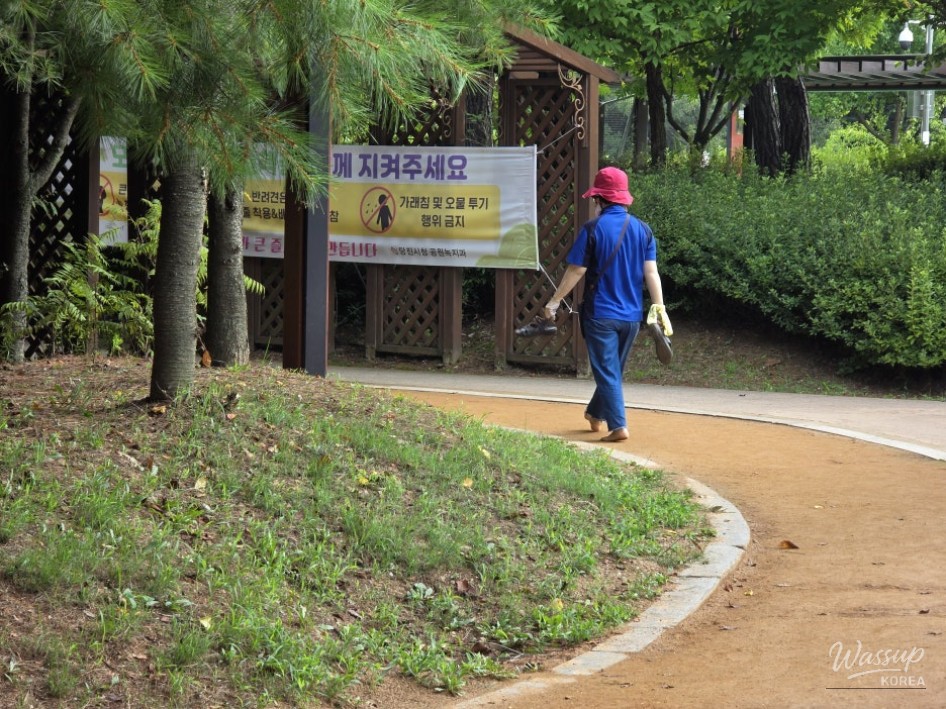 Exploring the Serenity of Gyerim Park's Earthen Path_02