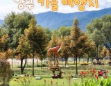 Perfect Autumn Travel Destinations in Yanggu