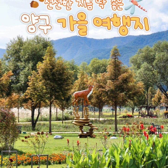Perfect Autumn Travel Destinations in Yanggu