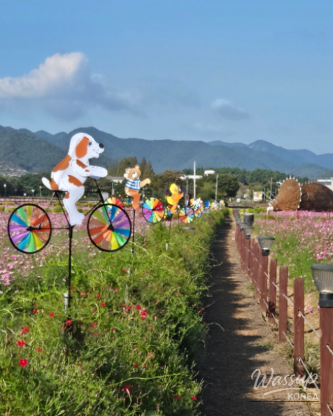 Experience the Beauty of Autumn in Goseong!_05