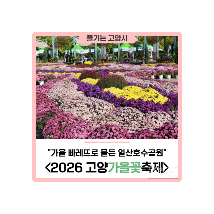 2026 Goyang Autumn Flower Festival: A Palette of Fall Colors at Ilsan Lake Park