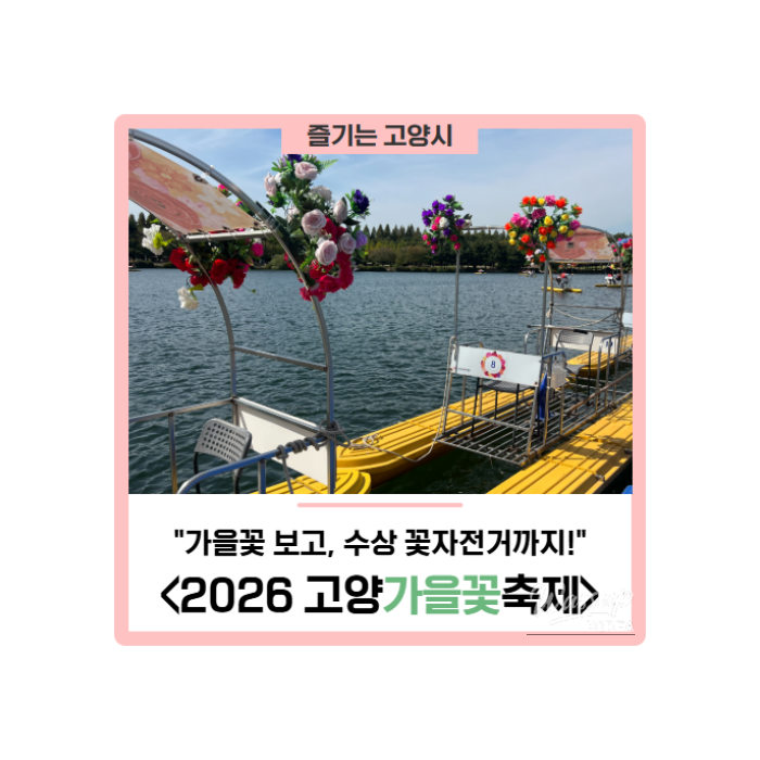 A Half-Day Experience at the 2026 Goyang Autumn Flower Festival