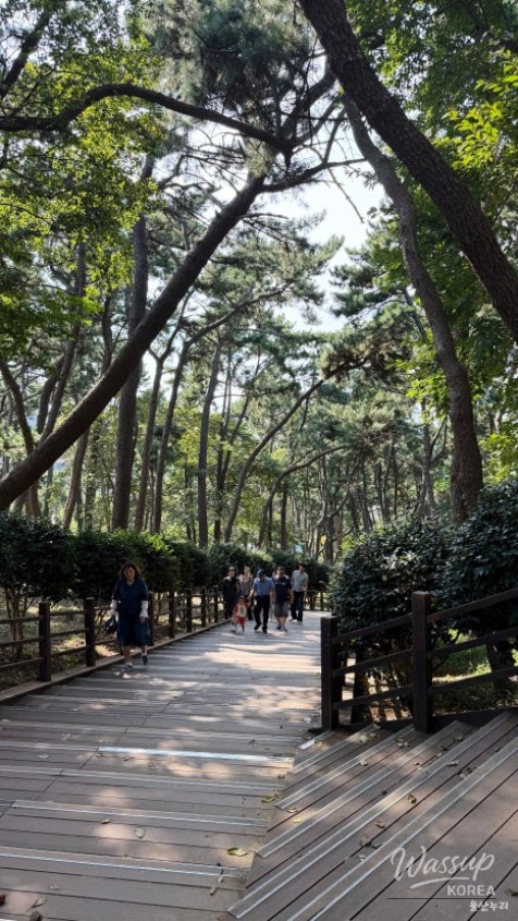 A Special Family Getaway in Ulsan_08