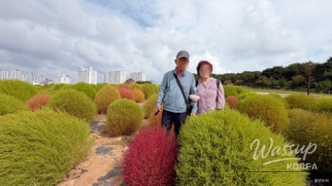 A Special Family Getaway in Ulsan_37