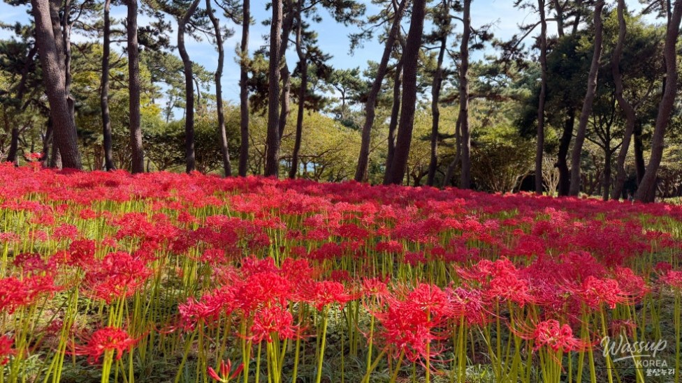 A Special Family Getaway in Ulsan_11