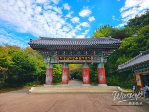 Autumn Outing in Yesan: A Journey Through History and Nature_05