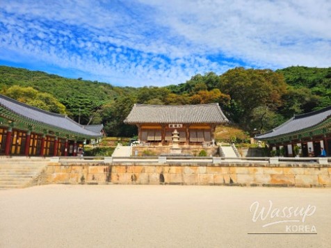 Autumn Outing in Yesan: A Journey Through History and Nature_03