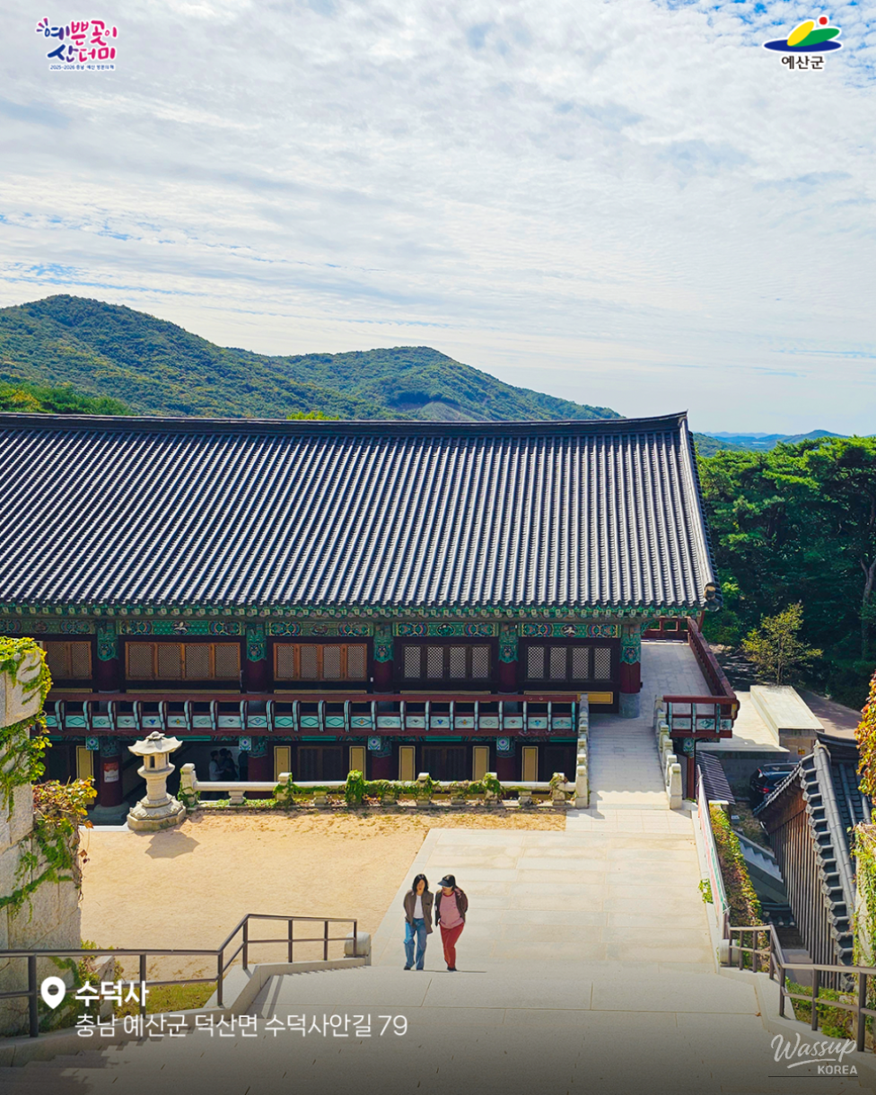 Autumn Outing in Yesan: A Journey Through History and Nature_19