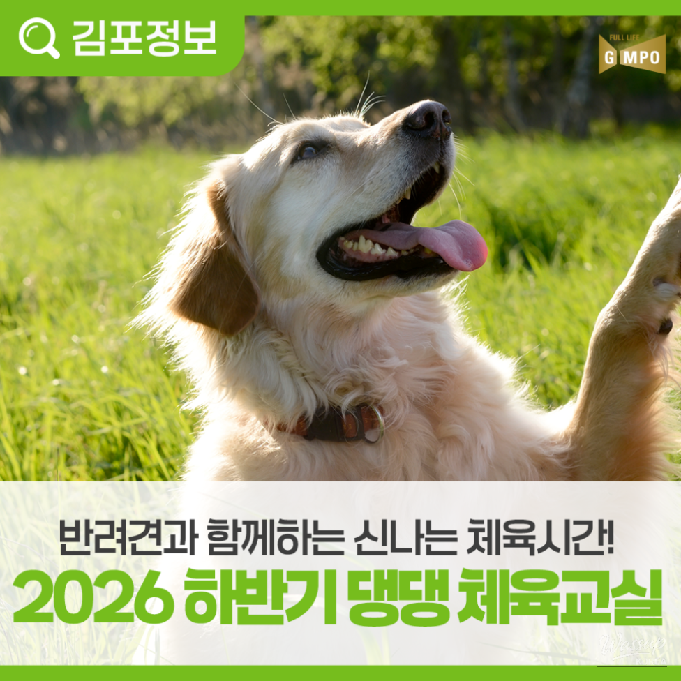 Dog Culture Education: 'Dog Sports Class' Participant Recruitment_07