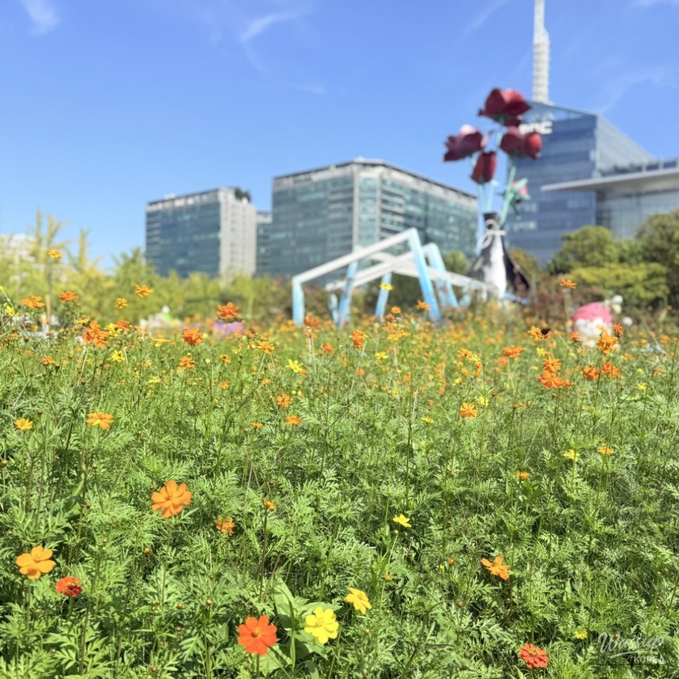 Autumn Palette at Ilsan Lake Park: 2026 Goyang Autumn Flower Festival_06