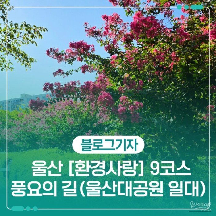 Exploring Ulsan's 'Path of Abundance'