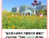 Autumn Palette at Ilsan Lake Park: 2026 Goyang Autumn Flower Festival