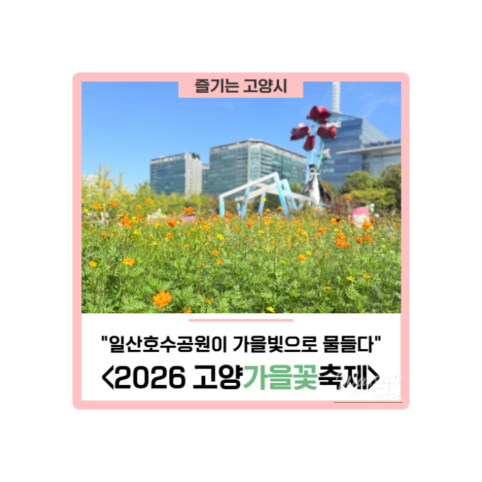 Autumn Palette at Ilsan Lake Park: 2026 Goyang Autumn Flower Festival