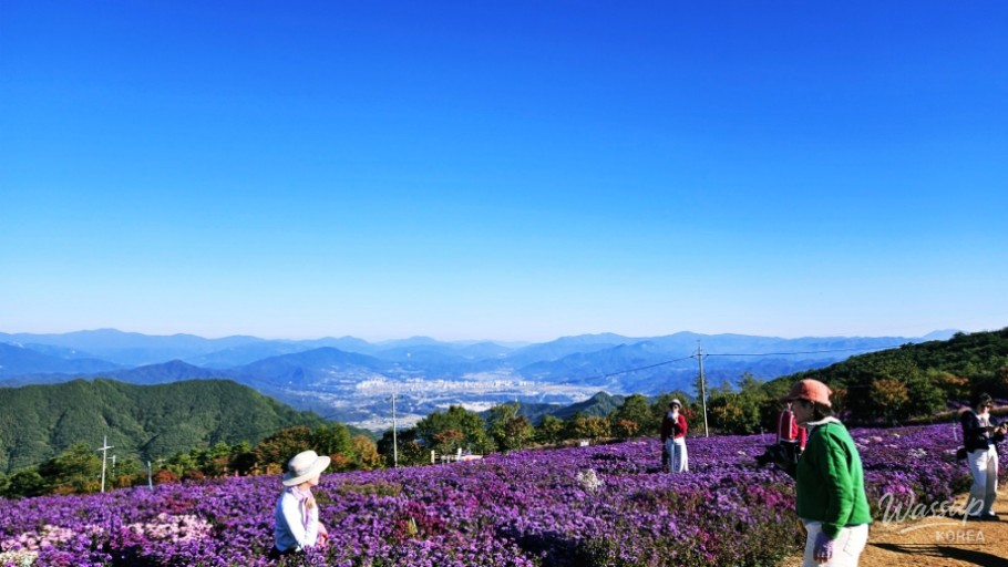 Autumn Journey at Gochang's Star Wind Hill_03