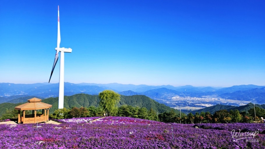 Autumn Journey at Gochang's Star Wind Hill_01