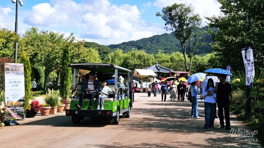 Experience Healing at the 2026 Gochang Garden Healing Expo_02
