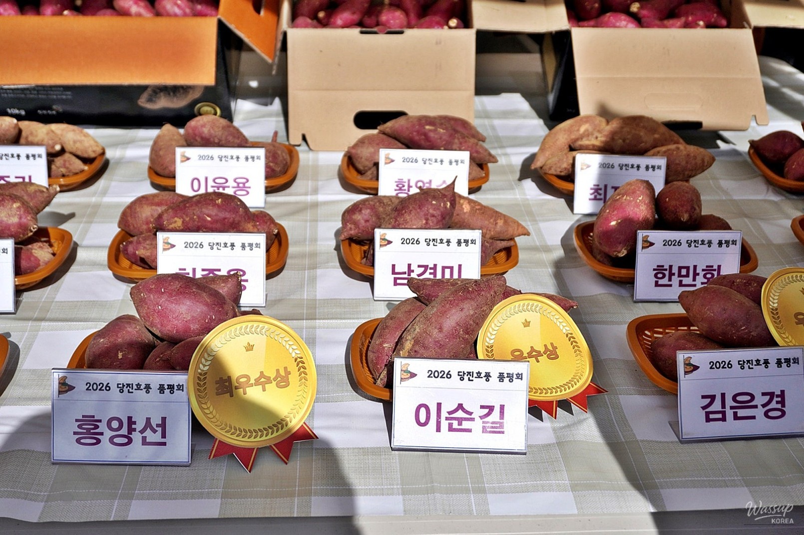 Harvest Festival in Dangjin: Celebrating Sweet Potatoes_02
