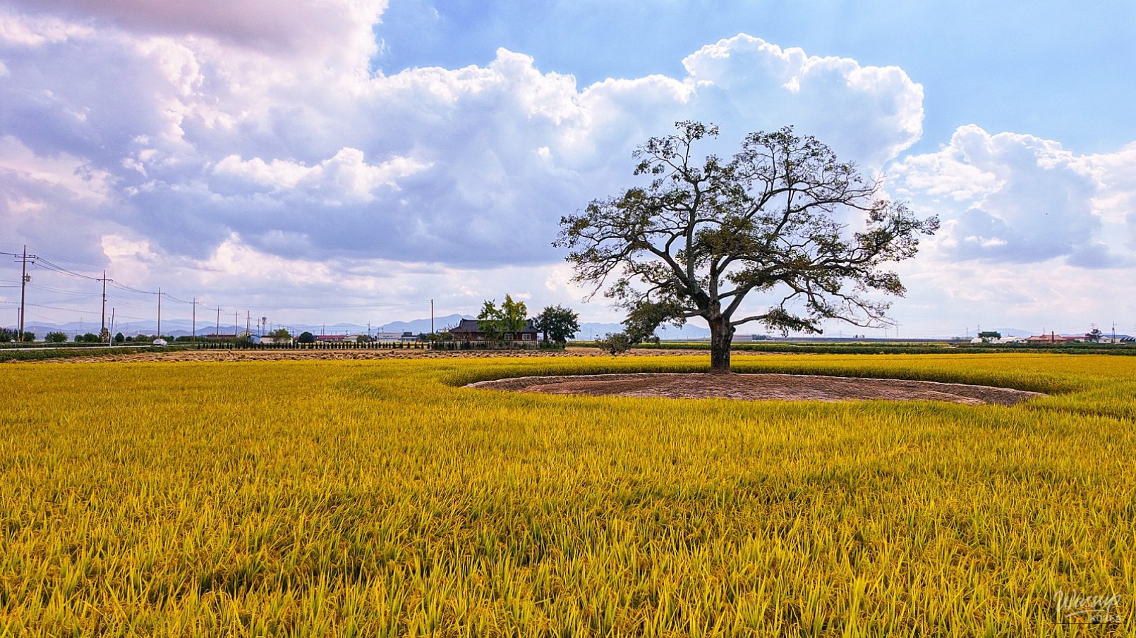 Autumn in the Ugang Plain_03